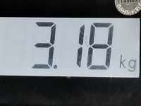 Вакуумный усилитель тормозов Citroen Nemo 2011г. 4535AR, 0204054445 - Фото 6