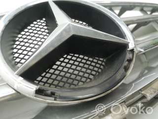 Решетка радиатора Mercedes B W245 2008г. a1698800783 , artAMD44701 - Фото 6