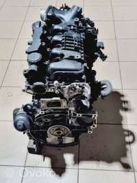 Двигатель  Peugeot Partner 2 1.6  Дизель, 2009г. 10jbav, psa9h02, 9655911480 , artANG18983  - Фото 3