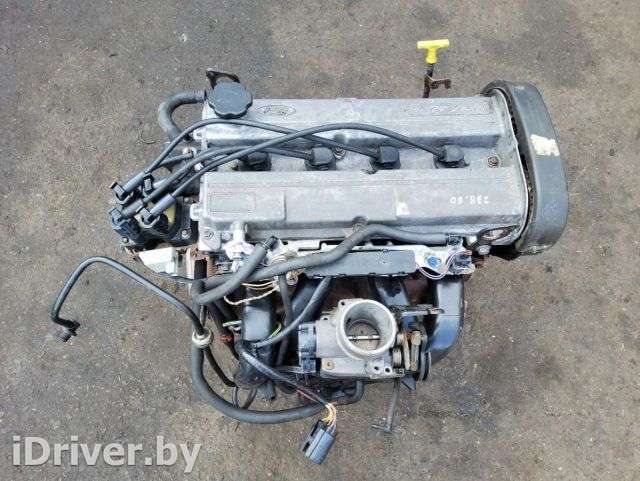 Двигатель  Ford Escort 6 1.6  Бензин, 1998г.   - Фото 1