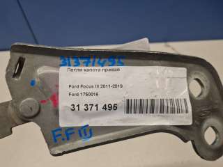 Петля капота правая Ford Focus 3 2011г. 1750016 - Фото 2