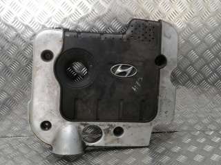 2924027101 Декоративная крышка двигателя к Hyundai Santa FE 2 (CM) Арт 18.70-935108