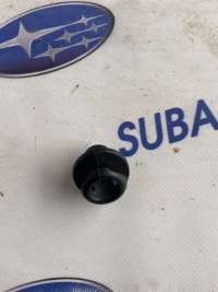  Крючок для одежды к Subaru Forester SJ Арт 66743434