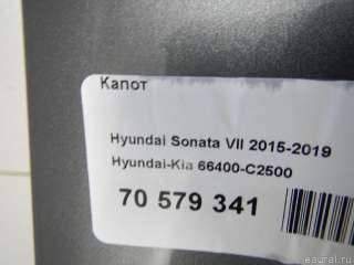 66400C2500 Hyundai-Kia Капот Hyundai Sonata (LF) Арт E70579341, вид 18