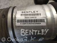 Амортизатор задний Bentley Flying Spur 2007г. 3w5616001b , artZAP53343 - Фото 8