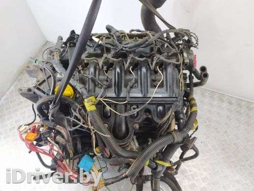 Двигатель  Opel Movano 1 restailing 2.5  2006г. G9U A720 C006501  - Фото 1