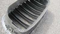 Решетка радиатора BMW X5 E70 2012г. 7171396 , artHOF4174 - Фото 3