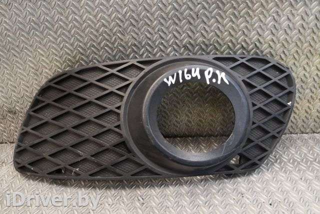 Заглушка (решетка) в бампер передний Mercedes ML W164 2007г. 1648850923 , art3060048 - Фото 1