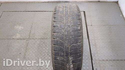 Зимняя шина Bridgestone Blizzak WS70 205/60 R16 1 шт. Фото 1