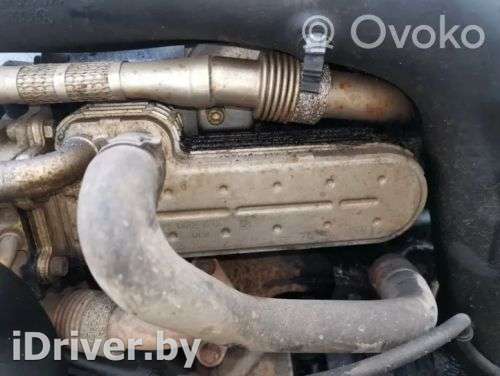 Охладитель отработанных газов Volkswagen Touran 1 2003г. 038131513d , artIMP2472149 - Фото 1