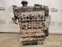 Двигатель  Skoda Fabia 2 1.9  Дизель, 2008г. bsw, 038130073ag , artSAU53014  - Фото 10