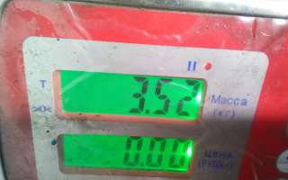 Корпус термостата Mazda 6 3 2014г. L32715170 - Фото 7