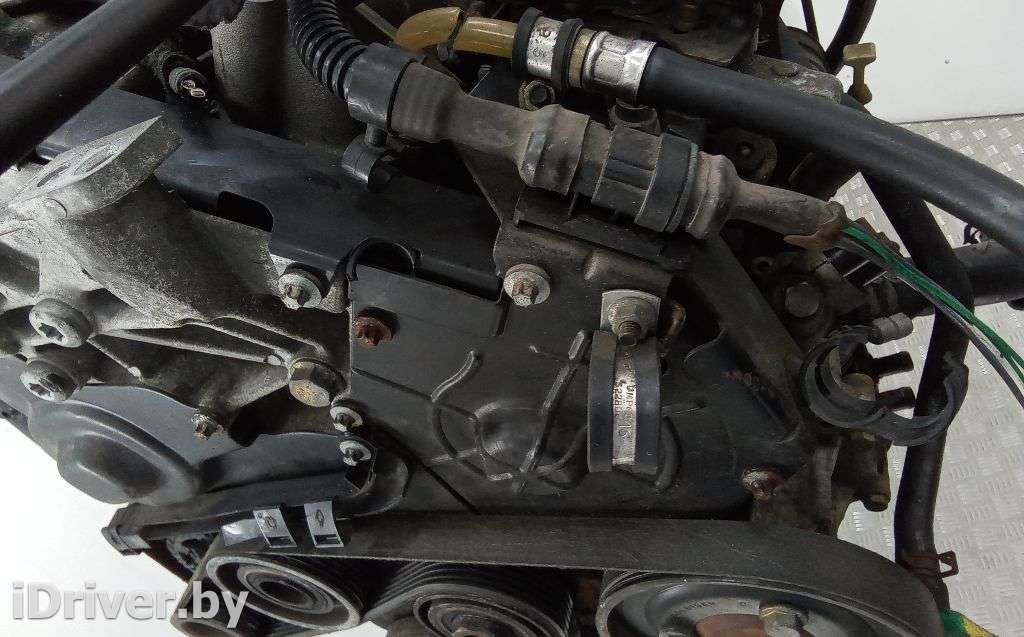 Защита (кожух) ремня ГРМ Renault Laguna 1 1995г.   - Фото 2