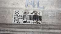Охладитель отработанных газов Mercedes ML W163 2005г. a6121420079, 005085 , artSMI27608 - Фото 2