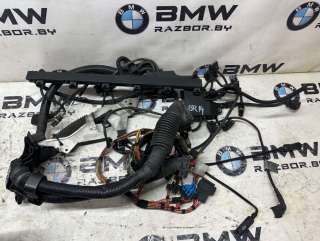  Проводка двигателя к BMW X5 E53 Арт BR14-PDVS30I