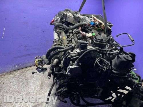 Проводка двигателя BMW 7 F01/F02 2013г.  - Фото 1