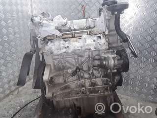 Двигатель  Volkswagen Golf 4   2005г. blf , artMNT102194  - Фото 9