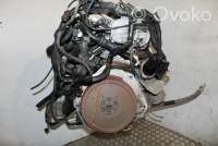 Двигатель  Audi A4 B7 2.0  Бензин, 2007г. bwe , artHAI4254  - Фото 6