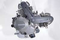 zdm696 Двигатель к Ducati Monster Арт moto888746