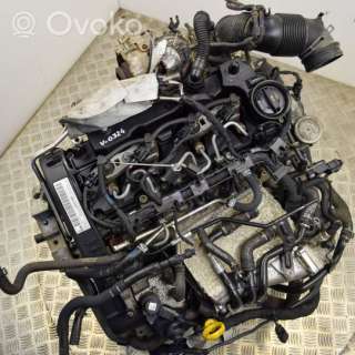 Двигатель  Skoda Octavia A7 1.6  Дизель, 2015г. crk , artGTV215000  - Фото 6