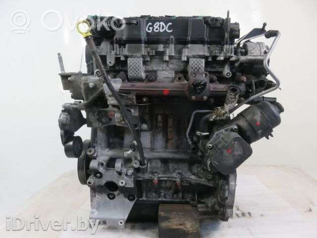 Двигатель  Ford Focus 2 restailing 1.6  Дизель, 2008г. g8dc , artCZM117365  - Фото 1