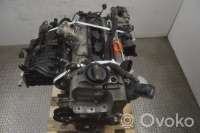 Двигатель  Audi A1 1.4  Бензин, 2011г. cax , artGVV197318  - Фото 4