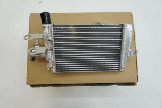 17118546416 Радиатор (основной) к BMW moto R Арт moto4930609
