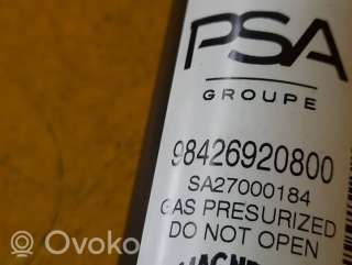 Амортизатор задний Opel Mokka 2 2021г. 98426920800, 98426920800, 98426920800 , artPHS35196 - Фото 5