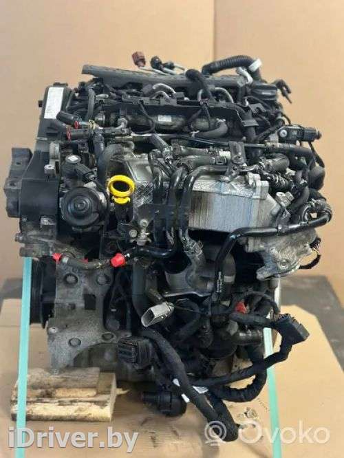 Двигатель  Volkswagen Caddy 4 2.0  Дизель, 2020г. dfs, dfsd , artTAA2649  - Фото 1
