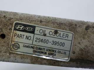 Радиатор масляный Hyundai XG 2002г. 2546039500 Hyundai-Kia - Фото 7