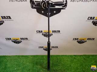 21918231015 Амортизатор крышки багажника (3-5 двери) к Volkswagen Caddy 3 Арт CB10041499