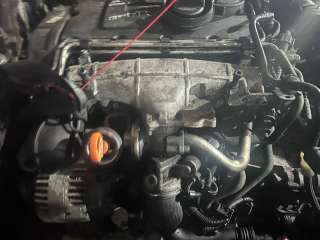 BKD Двигатель Volkswagen Golf PLUS 1 Арт 66421, вид 2