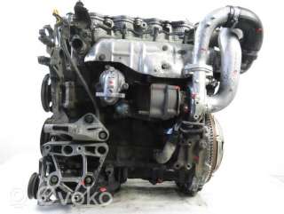 Двигатель  Nissan Almera N16 2.2  Дизель, 2002г. yd22ddt , artCZM77638  - Фото 3