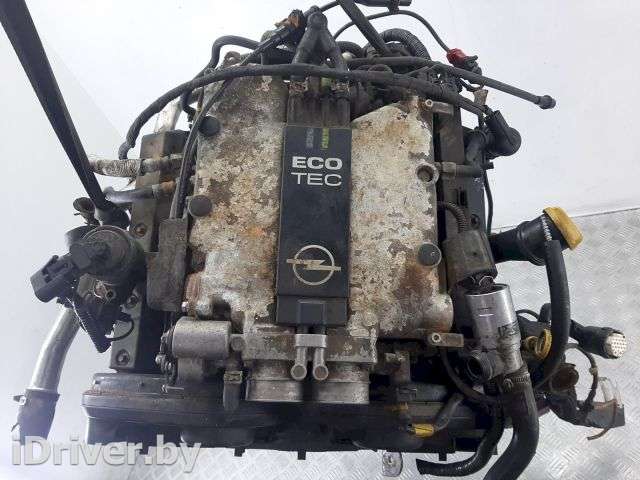 Двигатель  Opel Omega B 2.5  1999г. X25XE 08076049  - Фото 1