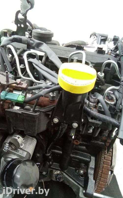 Щуп двигателя Renault Duster 1 2011г.  - Фото 1