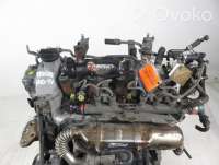 Двигатель  Toyota Yaris 2 1.4  Дизель, 2008г. 1ndtv , artCZM135152  - Фото 2
