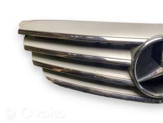 Решетка радиатора Mercedes B W245 2007г. a1698800783, 235100001 , artSEA23229 - Фото 6
