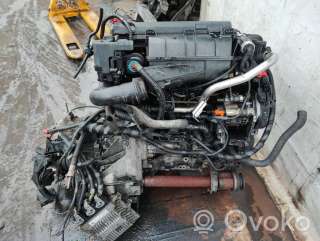 Двигатель  Ford Fusion 1 1.4  Дизель, 2002г. b5ib5 , artRTX113572  - Фото 5