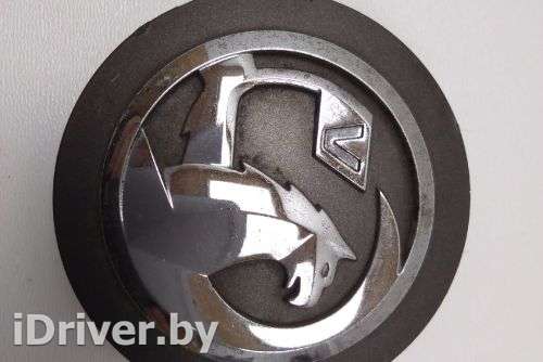 Колпак колесный Opel Insignia 1 2008г. 13242418132424191324242213242423 , art2994906 - Фото 1