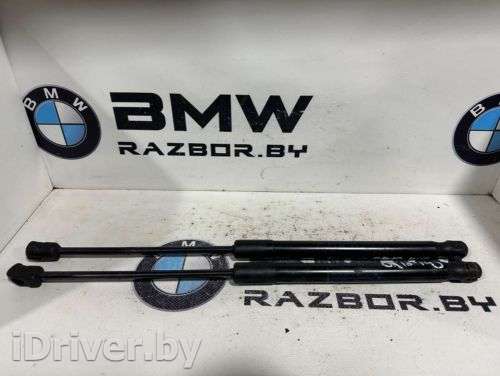 Амортизатор капота BMW X5 E70 2011г. 51237148346, 7148346 - Фото 1