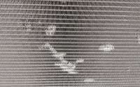 Радиатор основной DAF XF 106 2013г. 2125896 - Фото 8