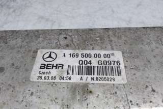 Интеркулер Mercedes B W245 2007г. A1695000000 , art8410361 - Фото 4