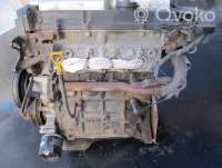 Двигатель  Kia Rio 2 1.4  Бензин, 2009г. g4ee9h249093, g4ee , artUME1943  - Фото 9