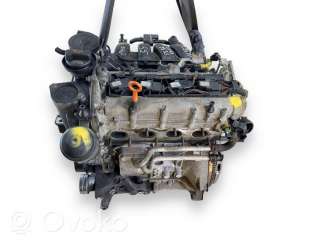 Двигатель  Volkswagen Golf 5 1.6  Бензин, 2005г. blf , artMDV43337  - Фото 2