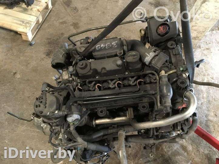 Двигатель  Citroen Xsara 1.4  Дизель, 2004г. 8hx , artSLK14956  - Фото 2