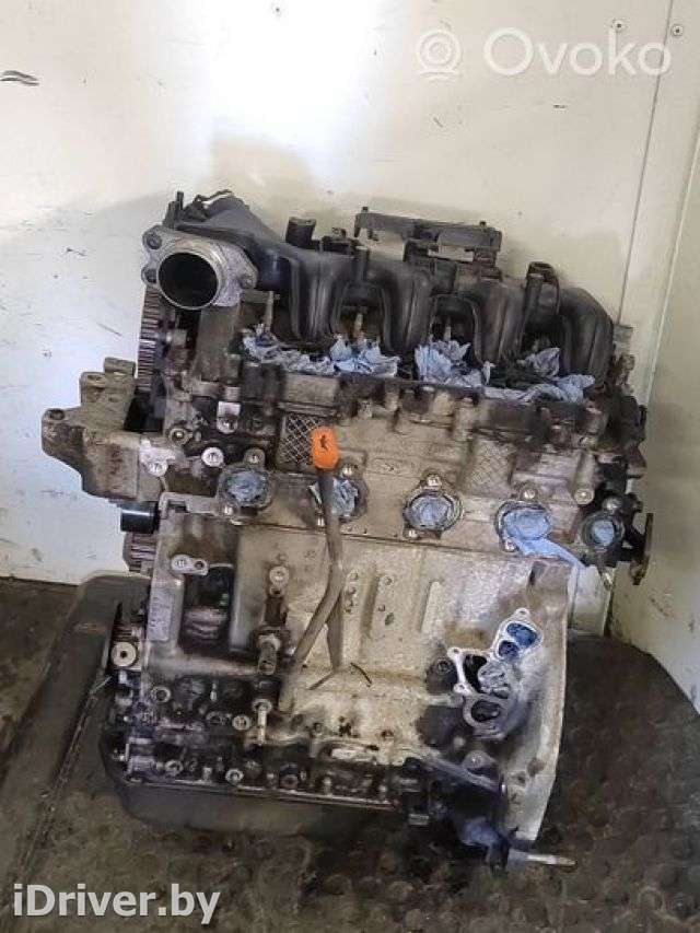 Двигатель  Citroen Berlingo 2  1.6  Дизель, 2009г. 9h03, psa9h03, 10jbcb , artFRC66207  - Фото 1