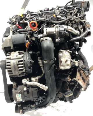 Двигатель  Seat Toledo 4 1.6  Дизель, 2013г. CAY  - Фото 3
