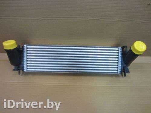 Радиатор интеркулера Nissan Navara D40 2010г. 14461-4KV1A - Фото 1