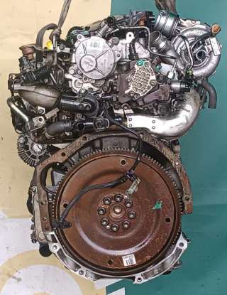 Двигатель  Renault Koleos 2.0 DCI Дизель, 2008г. M9R835  - Фото 3