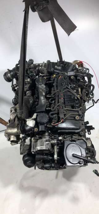 Двигатель  Citroen Berlingo 2  1.6  Дизель, 2008г. 9HX  - Фото 3